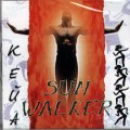 D Keiya - Sun Walker / New age, ethno